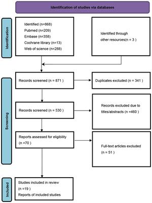 Associations between tertiary lymphoid structure density and immune checkpoint inhibitor efficacy in solid tumors: systematic review and meta-analysis